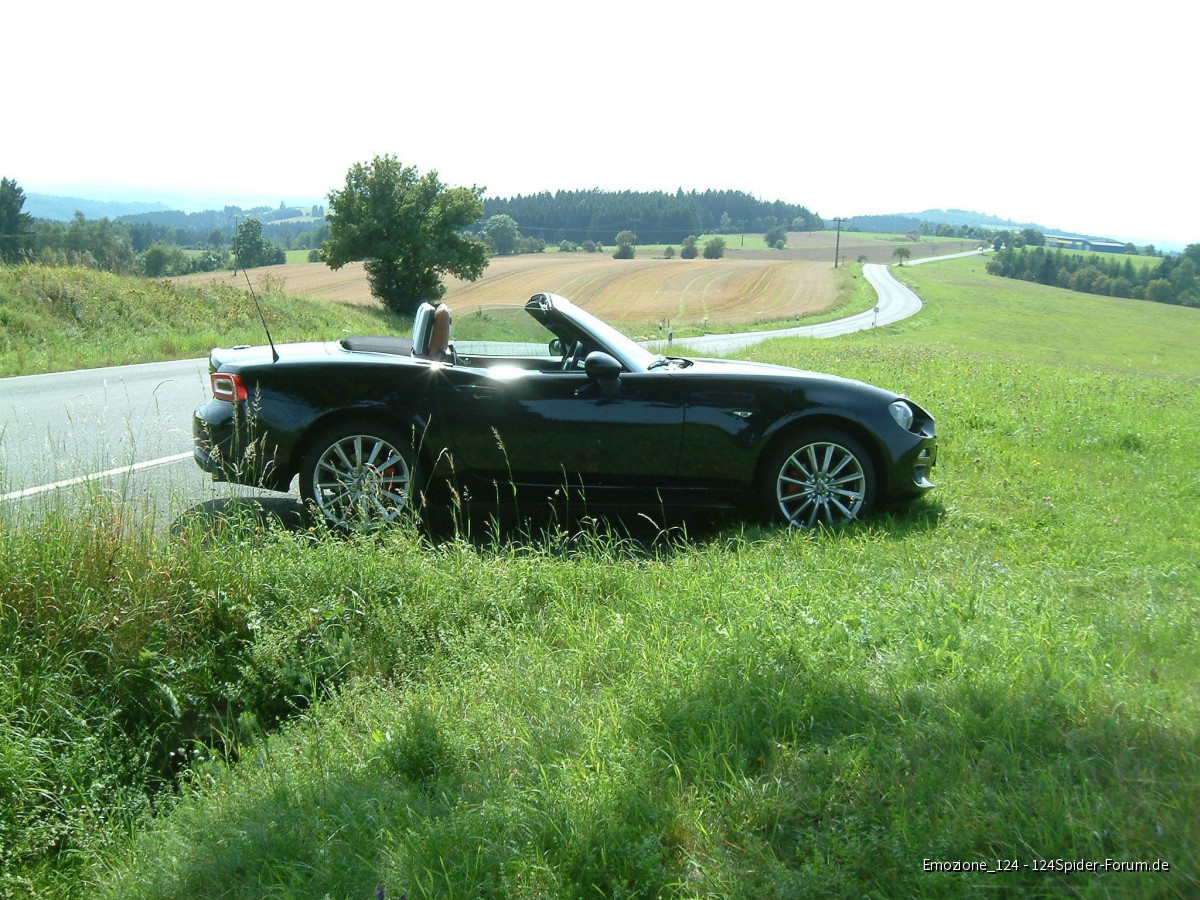 Spidi in der Nähe von Kulmbach