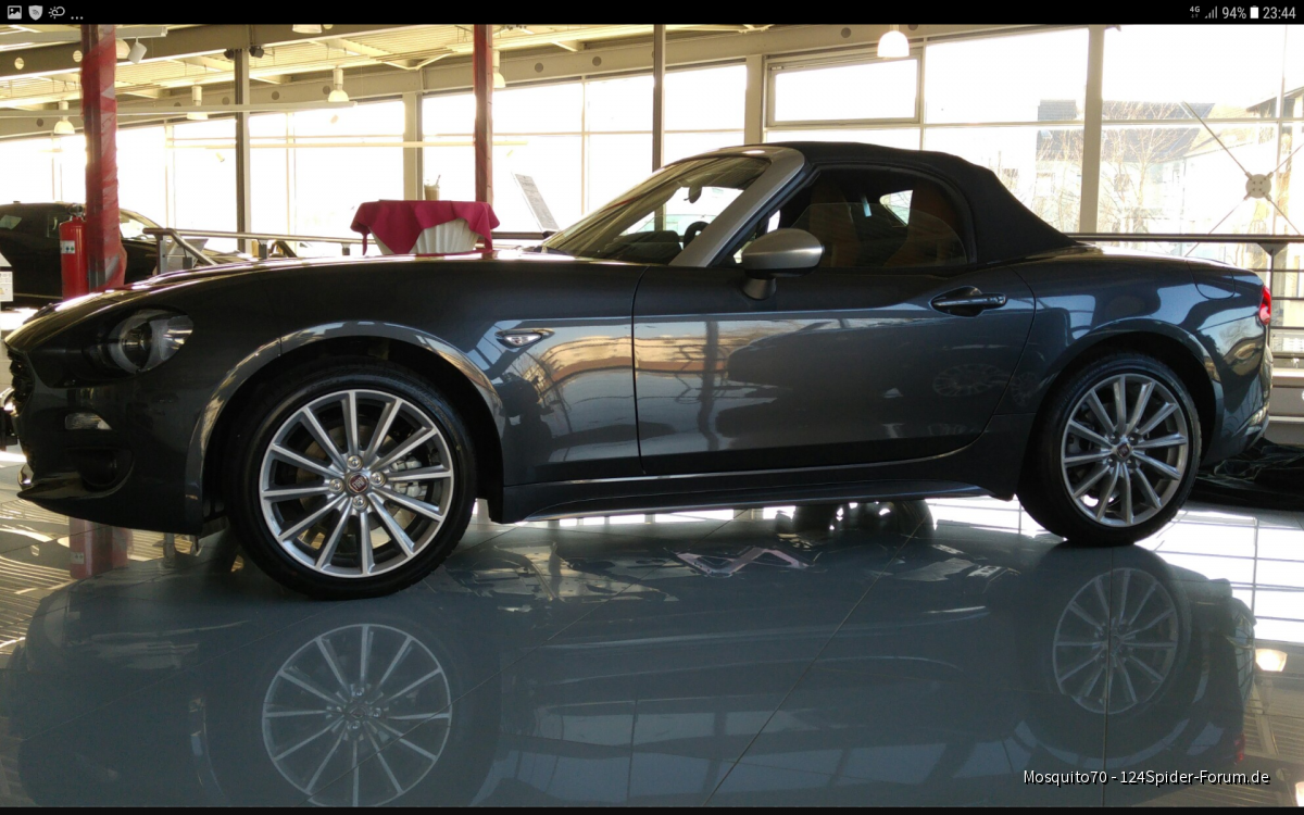 Darf ich vorstellen mein Spider.