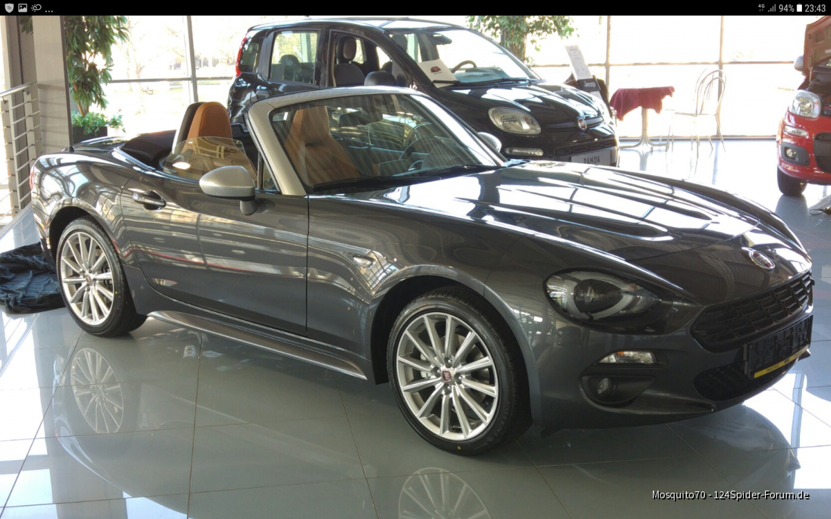 Darf ich vorstellen mein Spider.