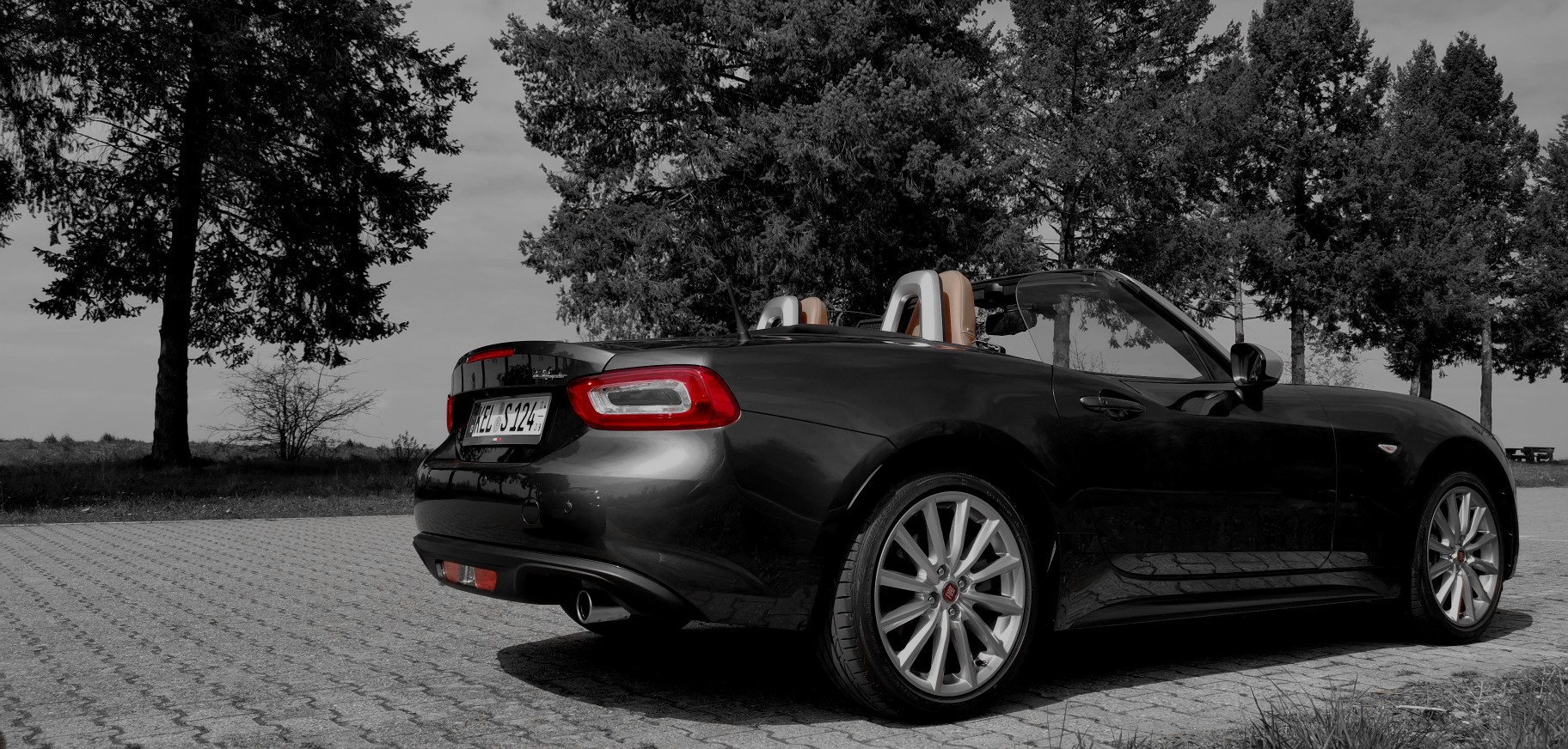 Mein neues Lieblingsbild