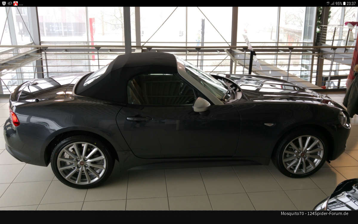 Darf ich vorstellen mein Spider.